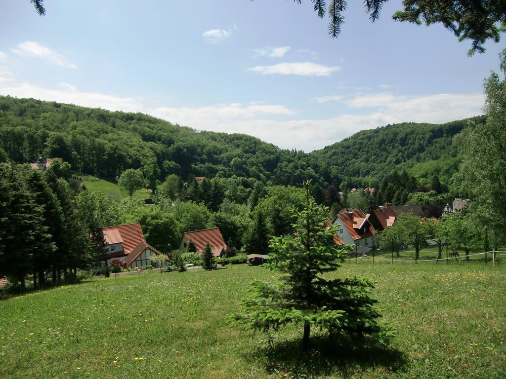 Ferienhaus Haus Am Wald Stolberg i. Harz Buitenkant foto