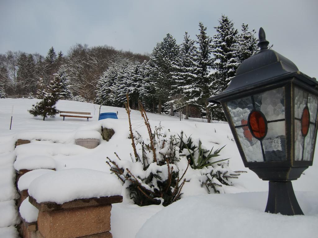 Ferienhaus Haus Am Wald Stolberg i. Harz Buitenkant foto