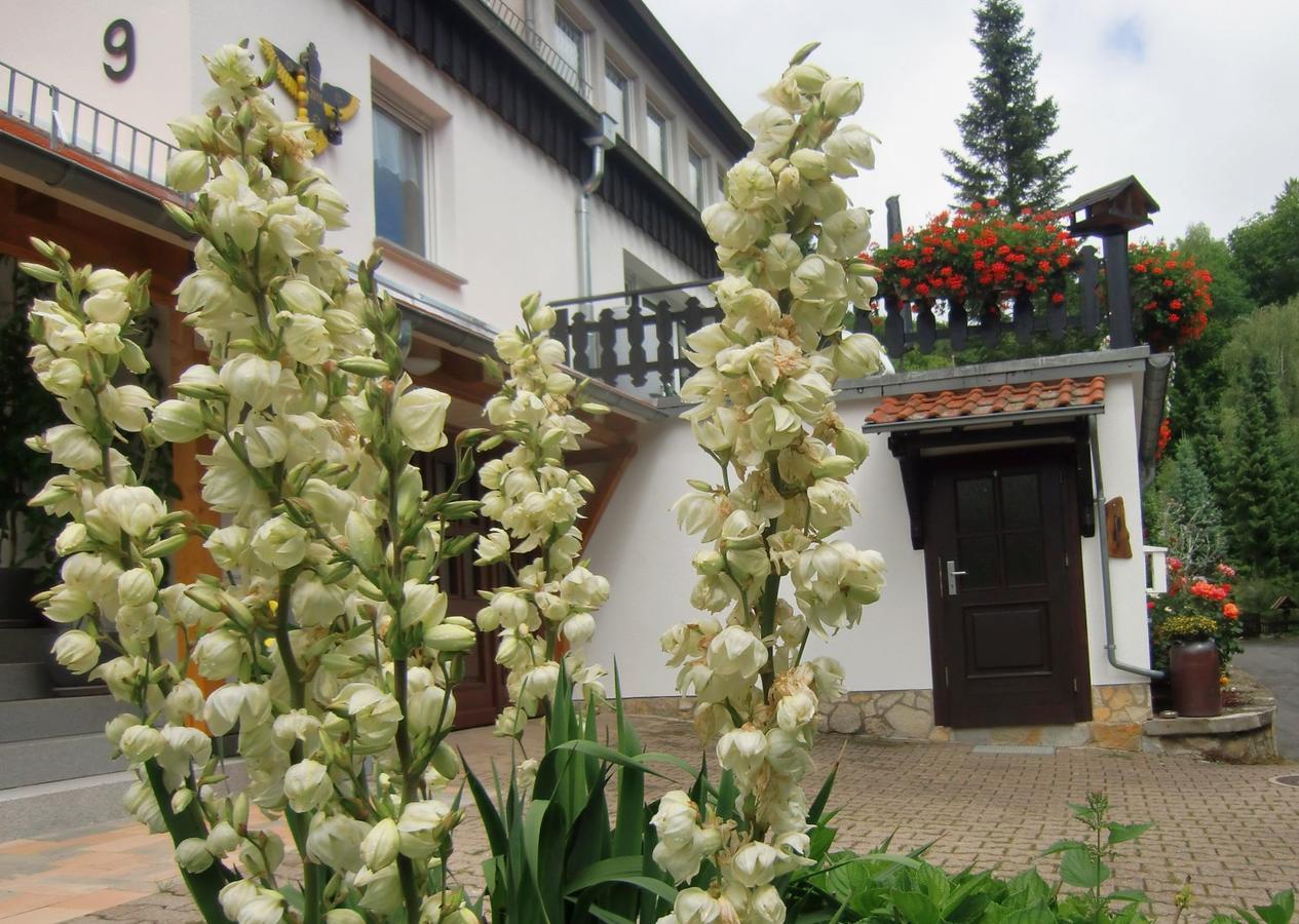 Ferienhaus Haus Am Wald Stolberg i. Harz Buitenkant foto
